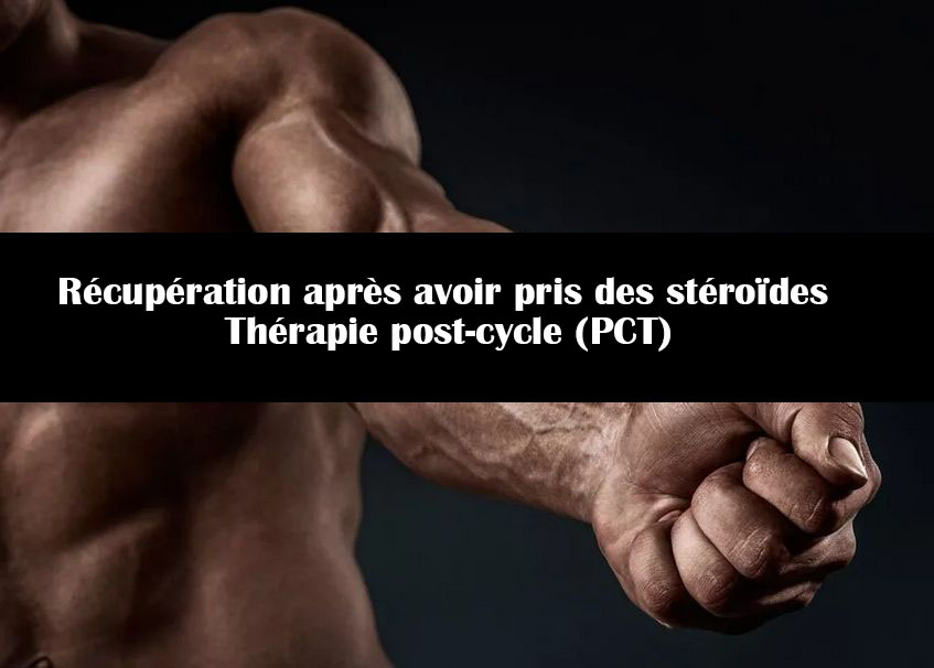 Récupération après avoir pris des stéroïdes | Thérapie post-cycle (PCT)