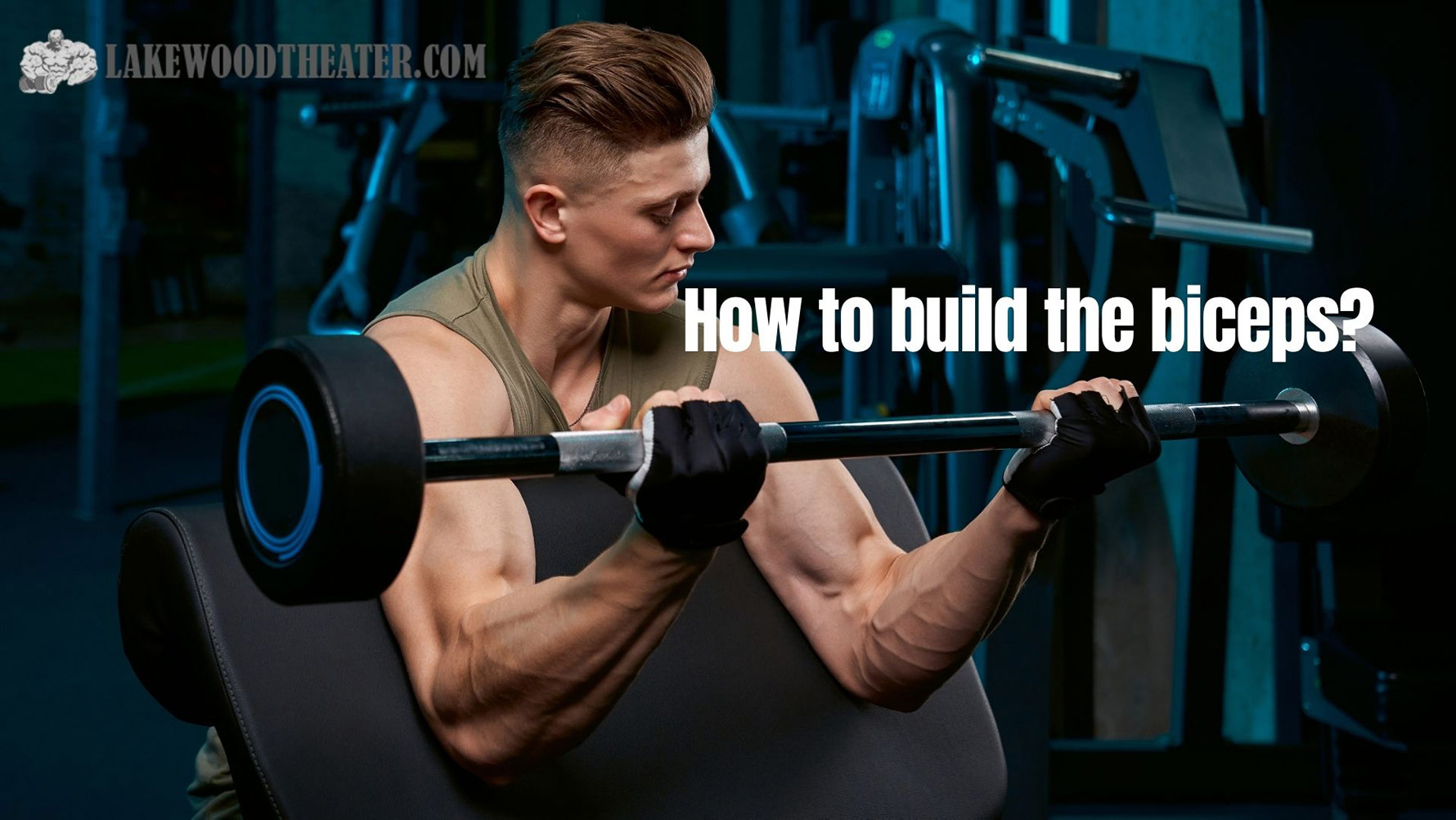 Comment développer les biceps ?