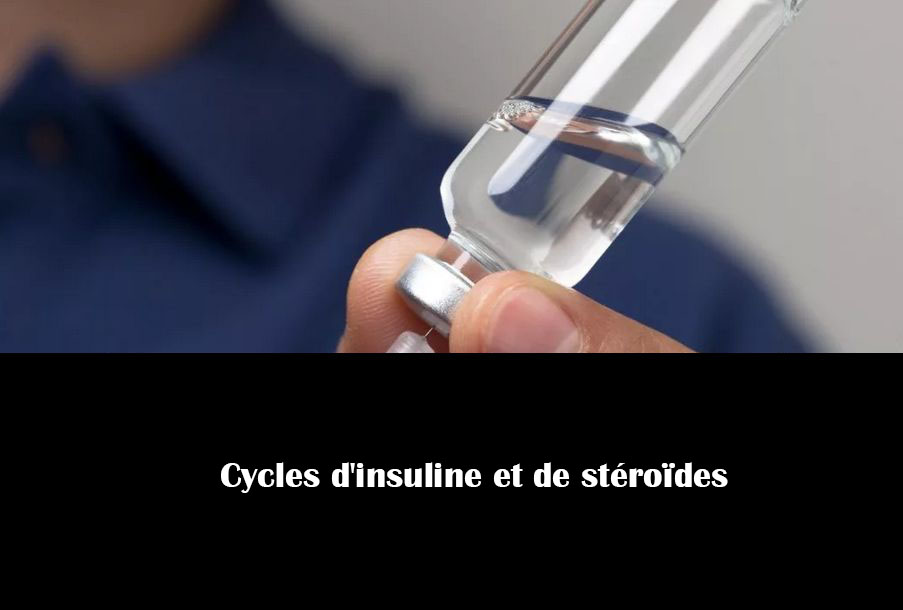 Cycles d’insuline et de stéroïdes