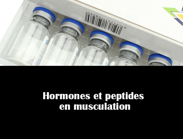 Hormones et peptides en musculation