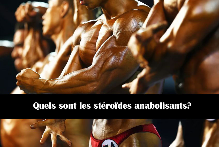 Quels sont les stéroïdes anabolisants?